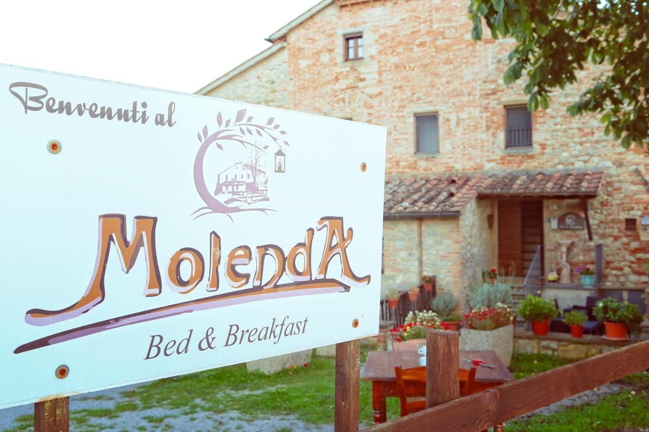 Molenda B&B Citta di Castello Ngoại thất bức ảnh